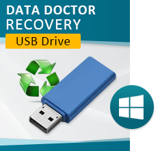 DDR Pen Drive Recovery Software